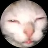 yoshiro_slayyyy