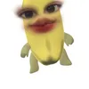 mhaisociu