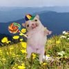 pompompurin499