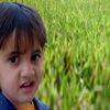 yousaf.zazi5