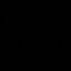 ts_2010.1