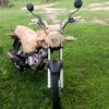 user9743610712928