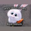 sen.ve.ben227