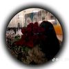 abd_qq5