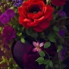 youssef.casaoui2