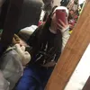 maitee_aiello