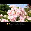 hjkjh657