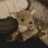 emmallovescats