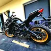 tiago_3d2y