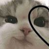 rinkafu_11