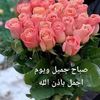 sofya4367