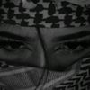 user8068316370285