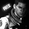 rex_editor0