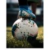 flashfoot60