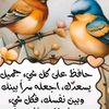 user7016193462614