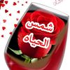 user1463429813849