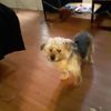 cheryltowles7