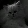evil_ayas_angel