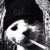 fannvillain