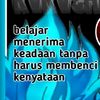 hafif244