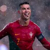 arielleonardofe31