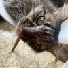 kat_.blu