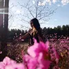 dianka_di91