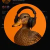 patogamer218