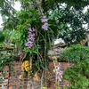 nguoi_la_06.10_
