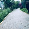 56_ren514