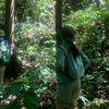 st4r.stela