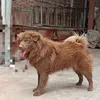 Trại Chó Lâm Phong