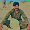 shouqat.ali.kalya3