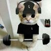 user_826382917