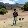 laghin124