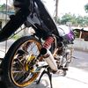 megapro_bronzz