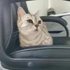 &Крутой и неповторимый манки&
