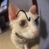 _nguyenminhduc_2