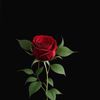 aqalwazir.aqalwaz2