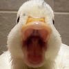 .vlog927