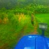 binay.tharu894