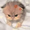bmarilyn_1