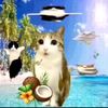 user251338203
