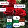 tasmia.muneer