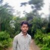 mh.mahi664