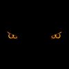 togrul.blessed