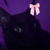 itseric00