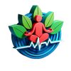 Hss_Online_Clinic