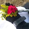 rajhasanat1