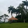 endangalex257